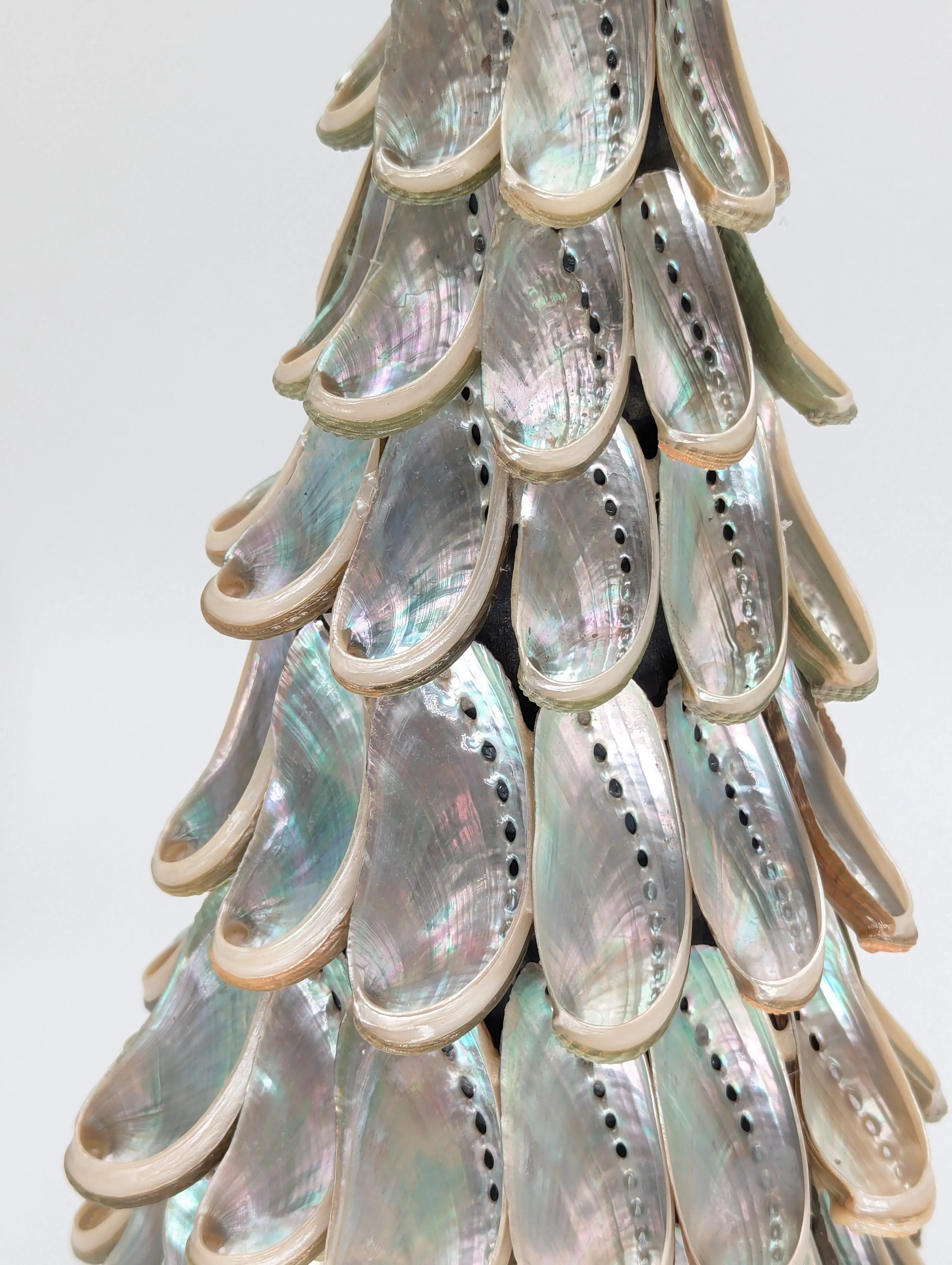 12" Abalone Shell Tree w/ Star Topper