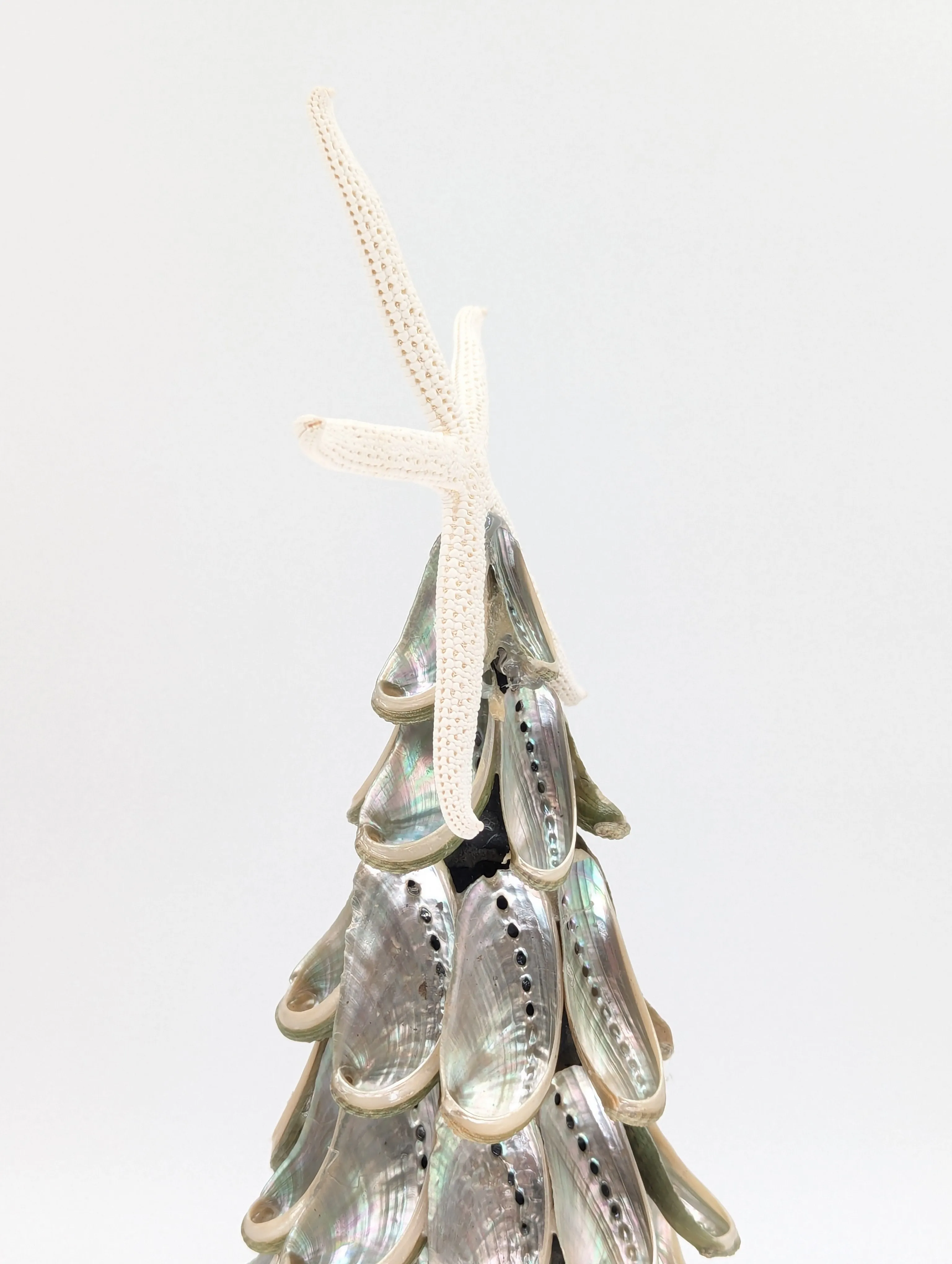 12" Abalone Shell Tree w/ Star Topper