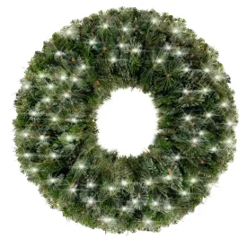 2' Mixed Blend Pine Wreath with Pure White LED Lights