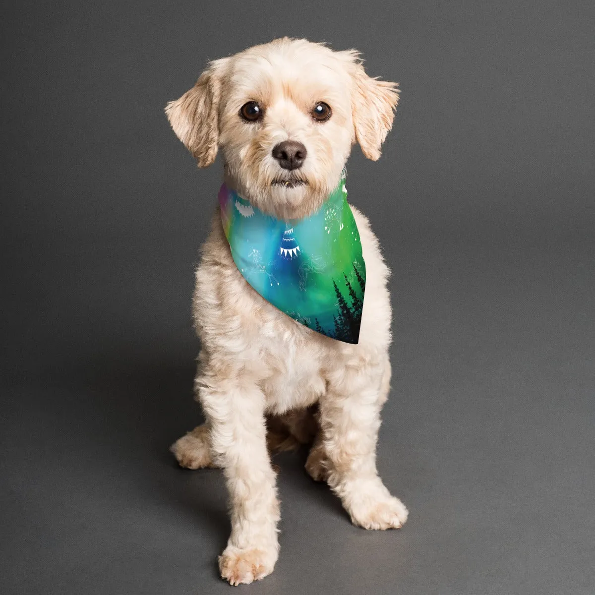 Aurora Medicine Animals Pet's Scarf