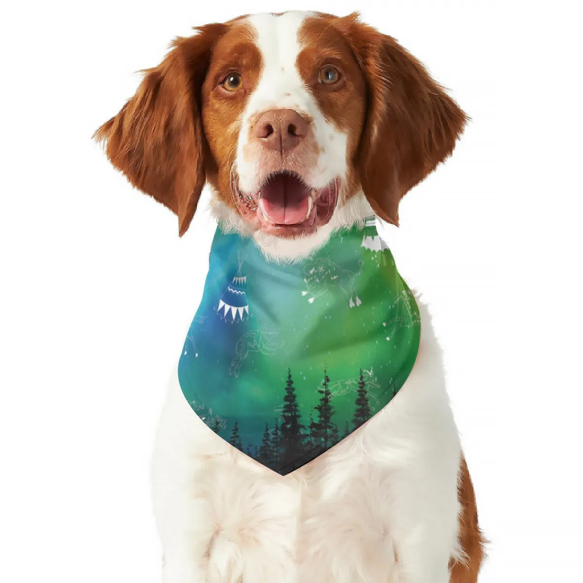 Aurora Medicine Animals Pet's Scarf