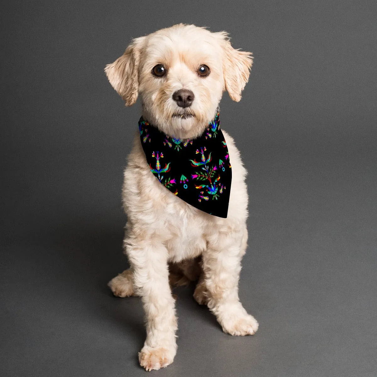 Dakota Damask Black Pet's Scarf