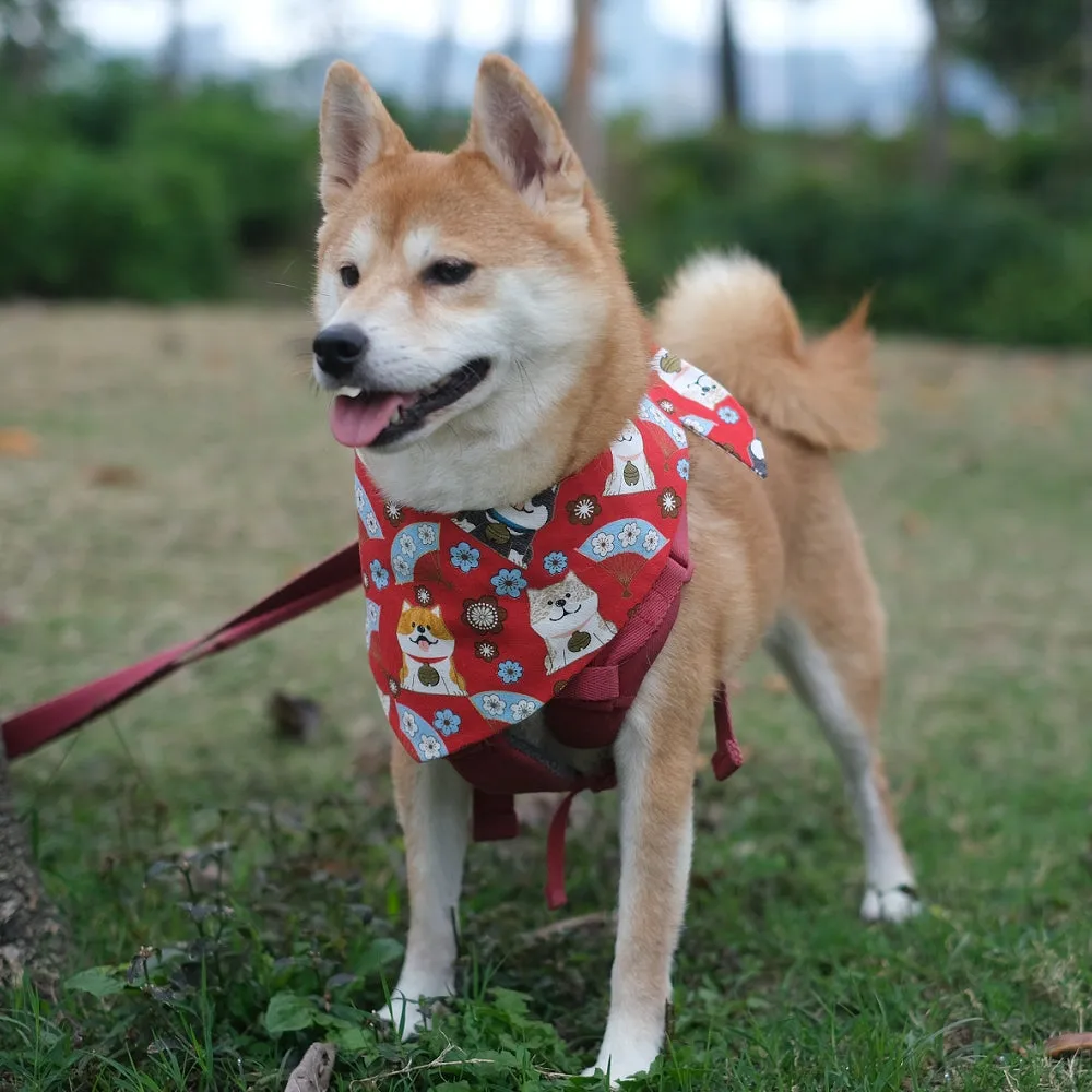 Pet Bandana Workshop