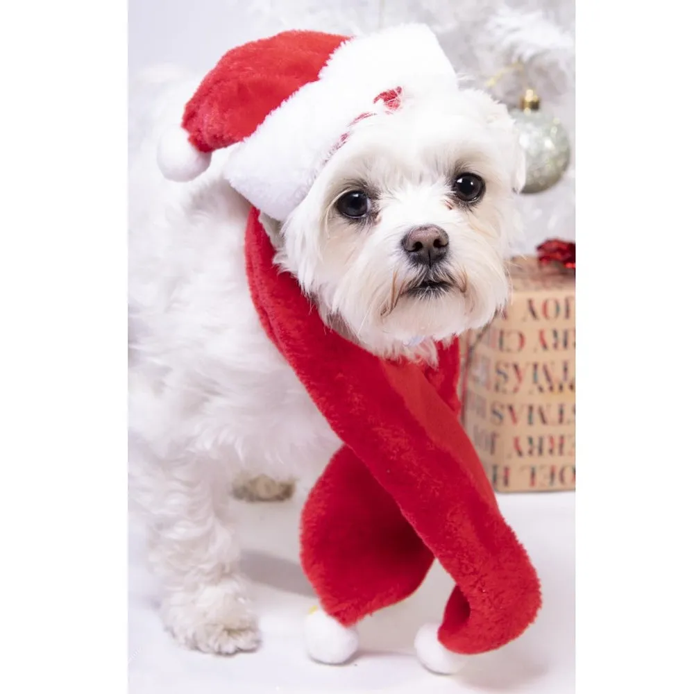 Smart Choice Festive Pet Hat & Scarf Set