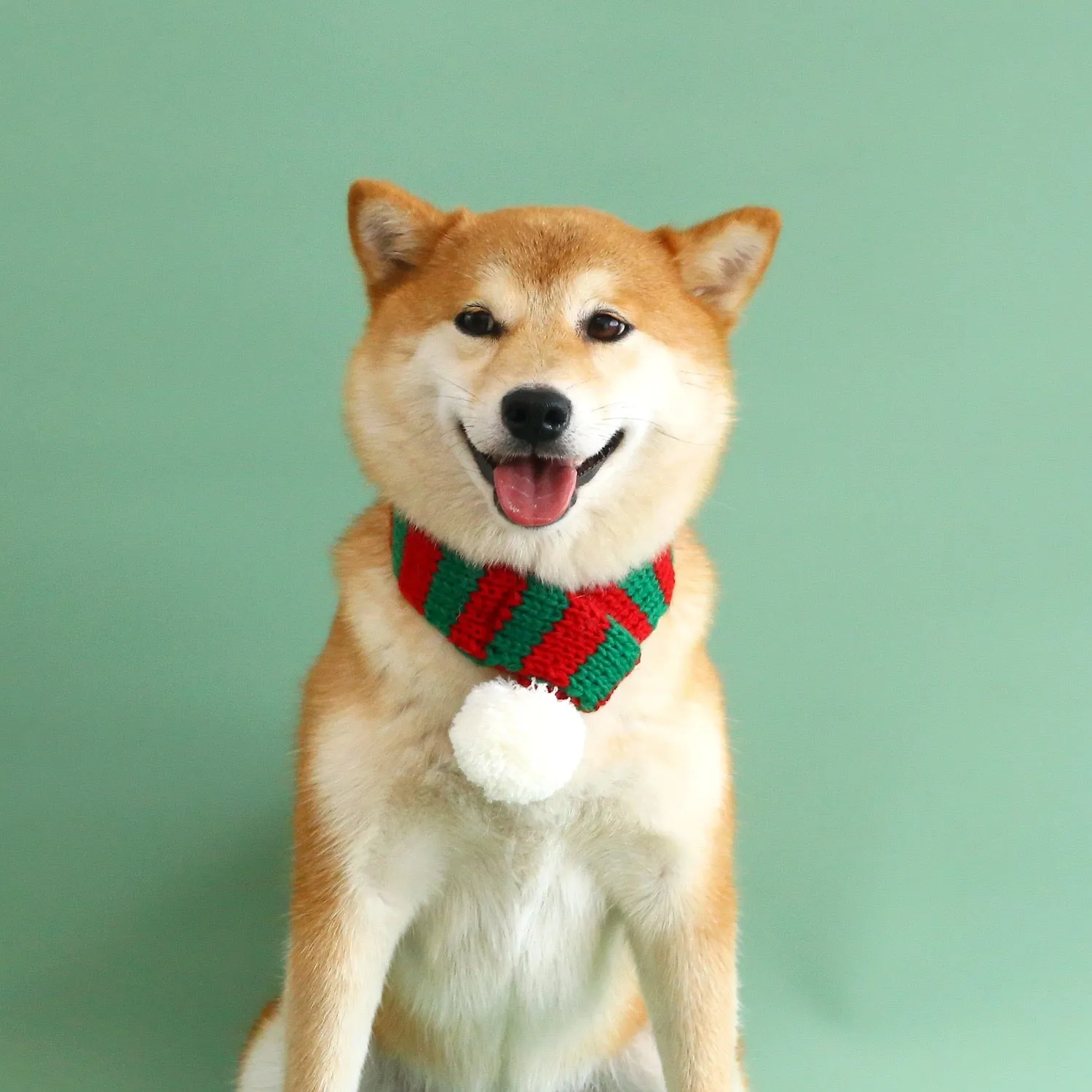 Striped Christmas Pet Scarf