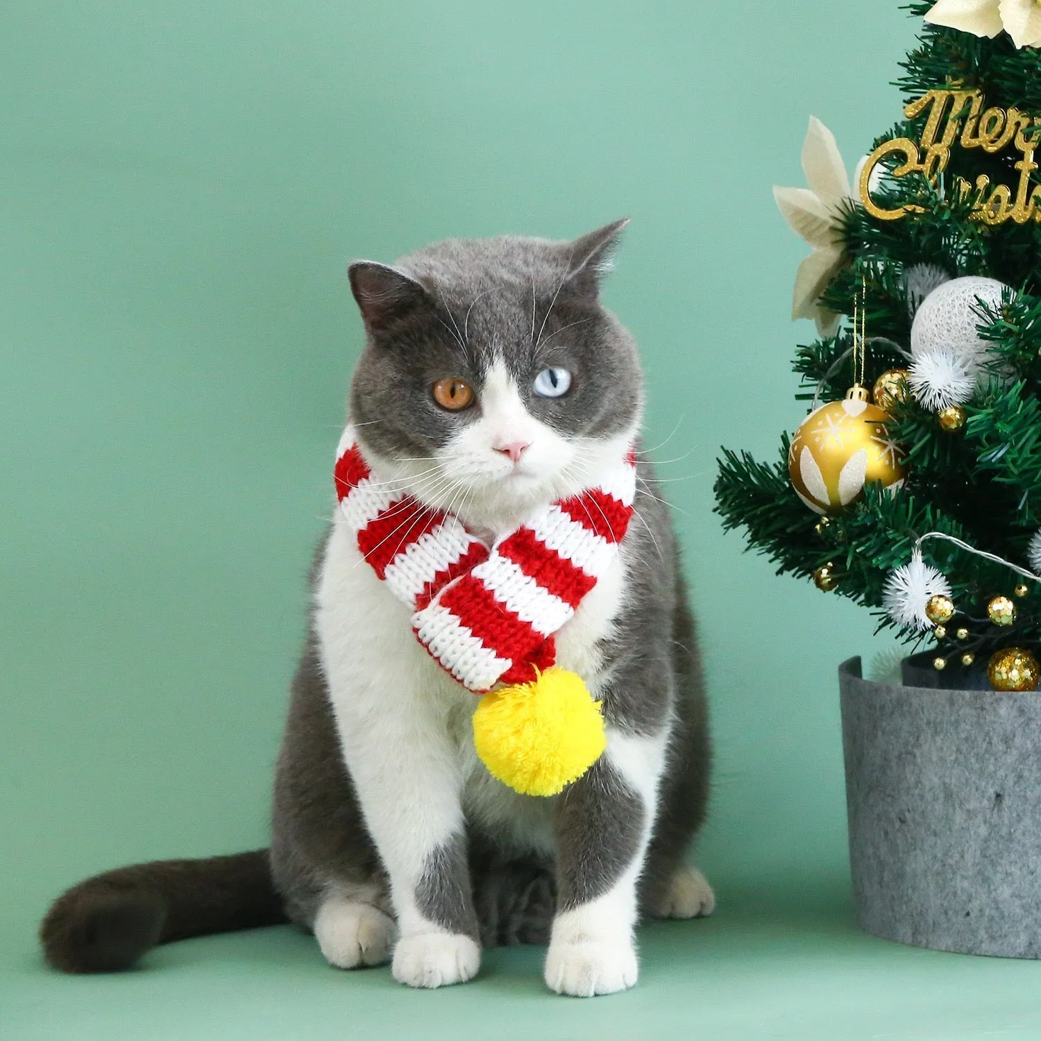 Striped Christmas Pet Scarf