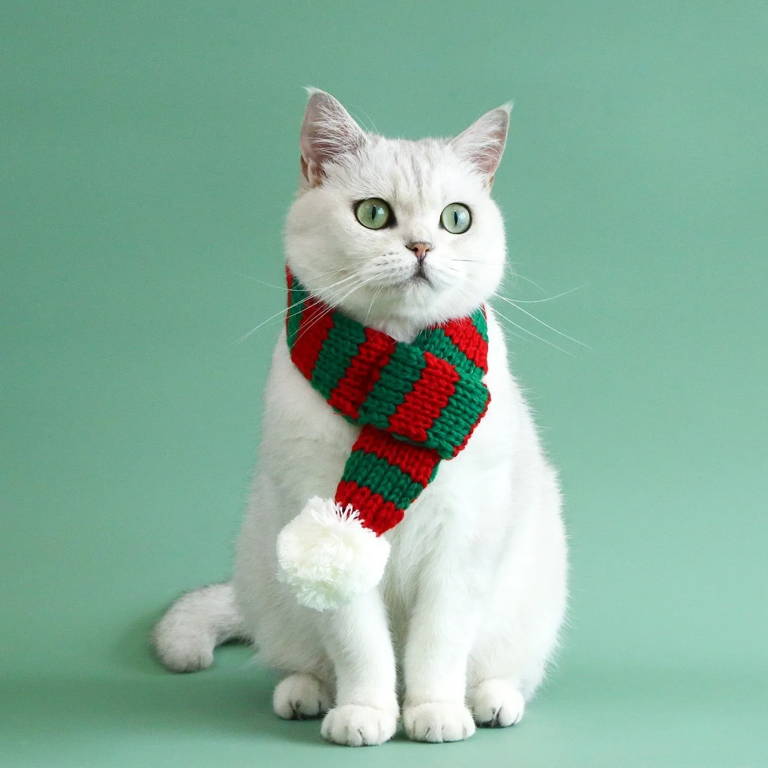 Striped Christmas Pet Scarf