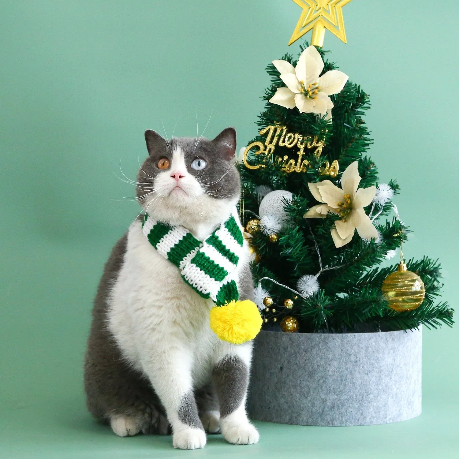 Striped Christmas Pet Scarf