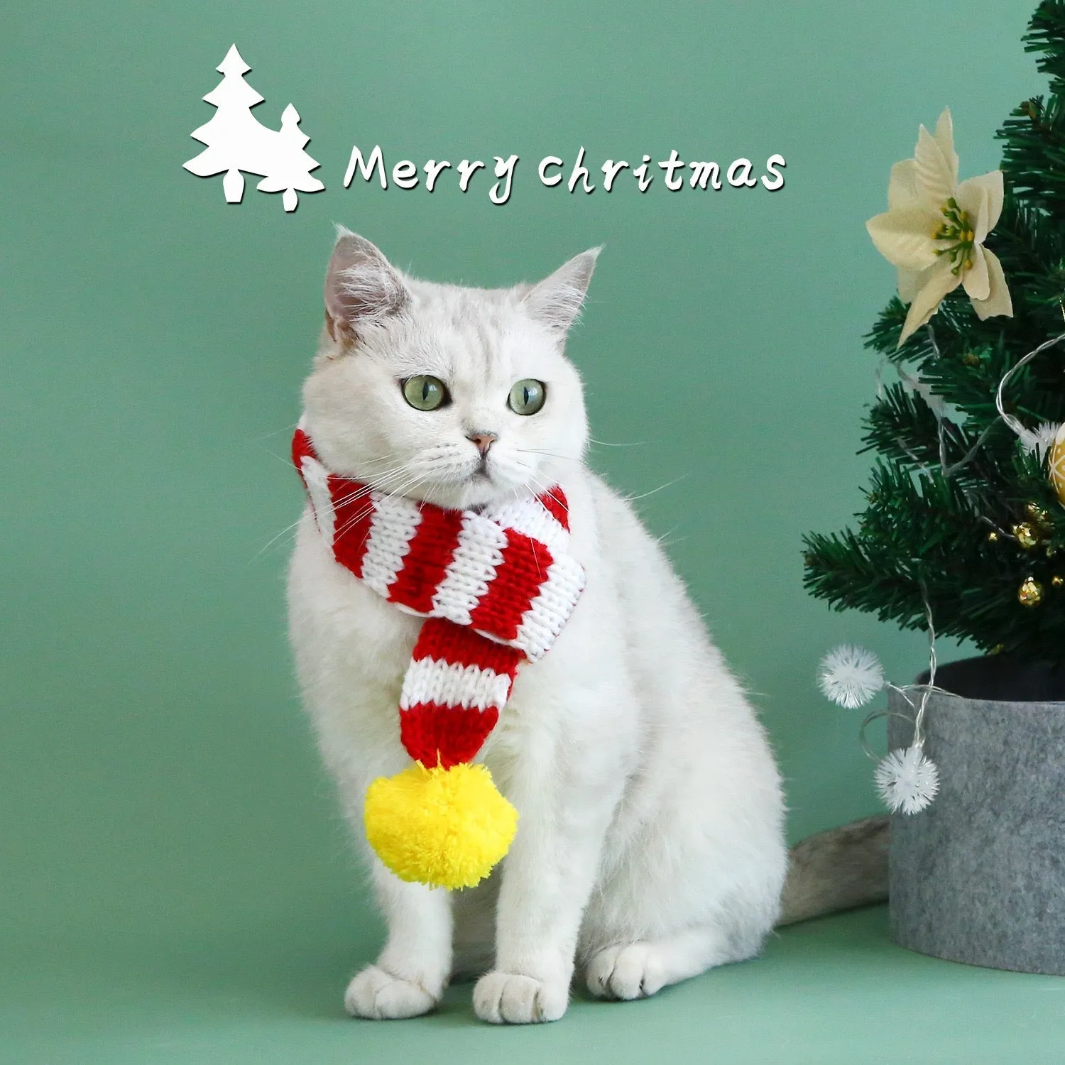 Striped Christmas Pet Scarf